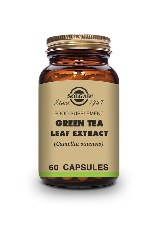 TÉ VERDE – Hoja – (Camellia sinensis). 60 Cápsulas Vegetales